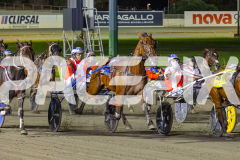 RACE 8 - Tritttrittbangbang