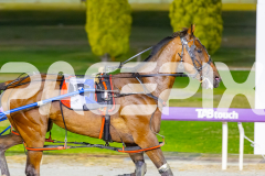 2026_PACEPIX_GP28022026_RACE8_TrittTrittBangBang_WIN_WEB-7