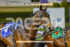 2026_Pacepix_GP23102026_Race8_TurboJay_WIN_WEB-11