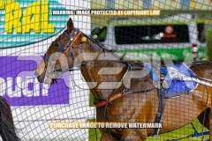 2026_Pacepix_GP23102026_Race8_TurboJay_WIN_WEB-14
