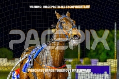 2026_Pacepix_GP23102026_Race8_TurboJay_WIN_WEB-18