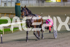2026_PACEPIX_GP29052026_RACE8_UnderTheAlta_WIN_WEB-10