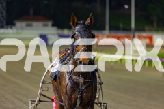 2026_PACEPIX_GP29052026_RACE8_UnderTheAlta_WIN_WEB-14