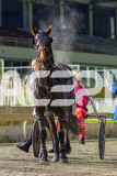 2026_PACEPIX_GP29052026_RACE8_UnderTheAlta_WIN_WEB-16