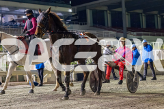 2026_PACEPIX_GP29052026_RACE8_UnderTheAlta_WIN_WEB-17