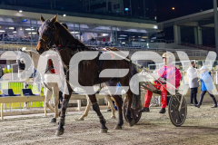 2026_PACEPIX_GP29052026_RACE8_UnderTheAlta_WIN_WEB-18
