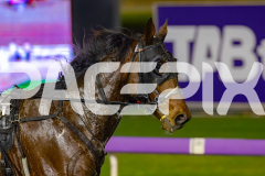 2026_PACEPIX_GP29052026_RACE8_UnderTheAlta_WIN_WEB-9