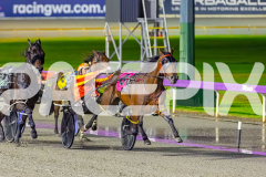 RACE 8 - Vinita Rose