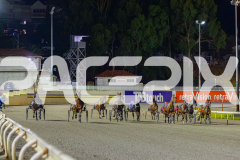 2026_PACEPIX_GP27032026_RACE8_VinitaRose_WIN_WEB-1