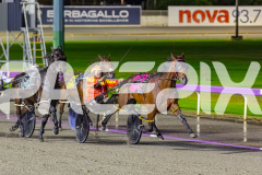 2026_PACEPIX_GP27032026_RACE8_VinitaRose_WIN_WEB-12
