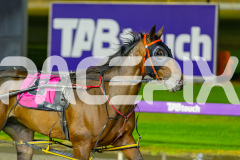 2026_PACEPIX_GP27032026_RACE8_VinitaRose_WIN_WEB-19