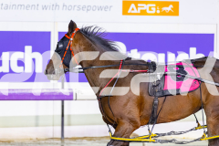 2026_PACEPIX_GP27032026_RACE8_VinitaRose_WIN_WEB-21
