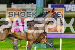 2026_PACEPIX_GP27032026_RACE8_VinitaRose_WIN_WEB-8