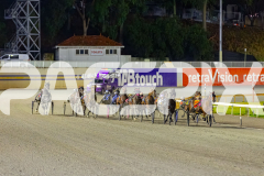 2026_PACEPIX_GP27032026_RACE8_VinitaRose_WIN_WEB-9