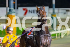 2026_PACEPIX_GP19052026_RACE8_Vybrant_WIN_WEB-11