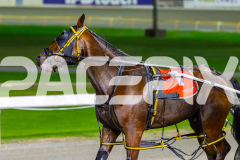 2026_PACEPIX_GP18042026_RACE8_WakeUpGeoff_WIN_WEB-25
