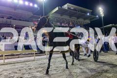2026_PACEPIX_GP18042026_RACE8_WakeUpGeoff_WIN_WEB-44