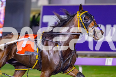 2026_PACEPIX_GP18042026_RACE8_WakeUpGeoff_WIN_WEB-6