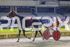 2026_PACEPIX_GP02012026_RACE8_WickedHustler_WIN_WEB-14