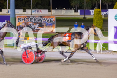 2026_PACEPIX_GP02012026_RACE8_WickedHustler_WIN_WEB-5