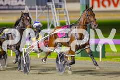 RACE 8 - World Of Rock