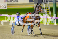 2025_PACEPIX_GP06052025_RACE8_WorldOfRock_WIN_WEB-17