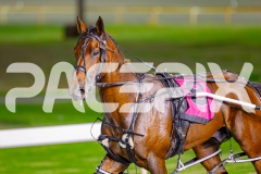 2025_PACEPIX_GP06052025_RACE8_WorldOfRock_WIN_WEB-24