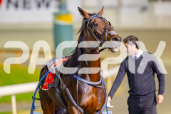 2025_PACEPIX_GP06052025_RACE8_WorldOfRock_WIN_WEB-27