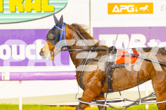 2025_PACEPIX_GP30052025_RACE8_XciteMe_WIN_WEB-19