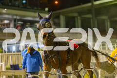 2025_PACEPIX_GP30052025_RACE8_XciteMe_WIN_WEB-23