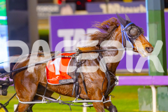 2025_PACEPIX_GP30052025_RACE8_XciteMe_WIN_WEB-7
