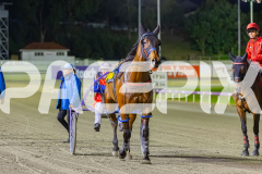 2025_PACEPIX_GP10102025_RACE8_GoodtimeLouis_WIN_WEB-17