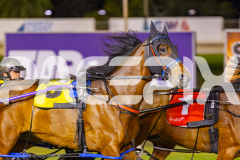 2025_PACEPIX_GP10102025_RACE8_GoodtimeLouis_WIN_WEB-2