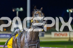 2026_PACEPIX_GP17032026_Race8_AgentAndy_WIN_WEB-13
