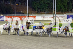 2026_PACEPIX_GP17032026_Race8_AgentAndy_WIN_WEB-3