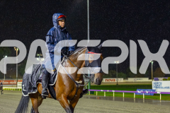 2026_PACEPIX_GP27032026_RACE9_ALittleSilence_WIN_WEB-19