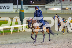 2026_PACEPIX_GP27032026_RACE9_ALittleSilence_WIN_WEB-21