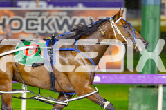 2026_PACEPIX_GP27032026_RACE9_ALittleSilence_WIN_WEB-5