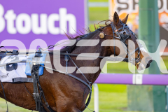 2025_PACEPIX_GP28072025_RACE9_Alfredi_WIN_WEB-7