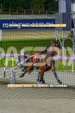2026_PACEPIX_GP13102026_RACE9_AllAtonce_WIN_WEB-12