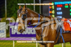 2026_PACEPIX_GP13102026_RACE9_AllAtonce_WIN_WEB-24