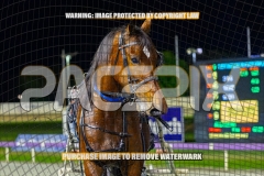 2026_PACEPIX_GP13102026_RACE9_AllAtonce_WIN_WEB-28