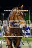 2026_PACEPIX_GP13102026_RACE9_AllAtonce_WIN_WEB-29