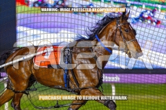2026_PACEPIX_GP13102026_RACE9_AllAtonce_WIN_WEB-4