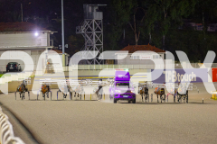2025_PACEPIX_GP20062025_Race9_AmarettoAngel_WIN_WEB-1