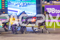 2025_PACEPIX_GP20062025_Race9_AmarettoAngel_WIN_WEB-12