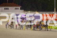 2025_PACEPIX_GP20062025_Race9_AmarettoAngel_WIN_WEB-4