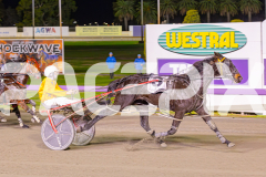 2025_PACEPIX_GP10062025_RACE9_AmmarettoAngel_WIN_WEB-6
