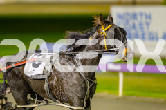 2025_PACEPIX_GP10062025_RACE9_AmmarettoAngel_WIN_WEB-8
