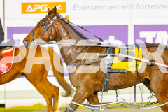2025_PACEPIX_GP26082025_Race9_Aretha_WIN_WEB-11